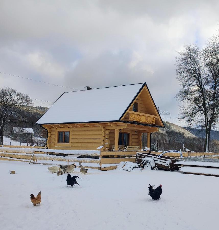 Sudecki Dym Z Kominkiem Kolo Karpacza. Agroturystyka Janowice Wielkie Exterior foto