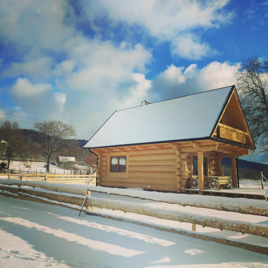 Sudecki Dym Z Kominkiem Kolo Karpacza. Agroturystyka Janowice Wielkie Exterior foto
