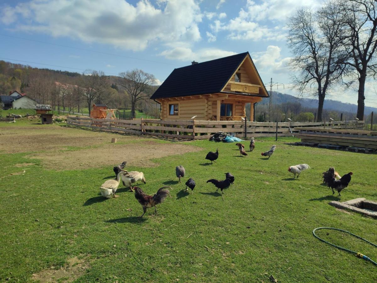 Sudecki Dym Z Kominkiem Kolo Karpacza. Agroturystyka Janowice Wielkie Exterior foto