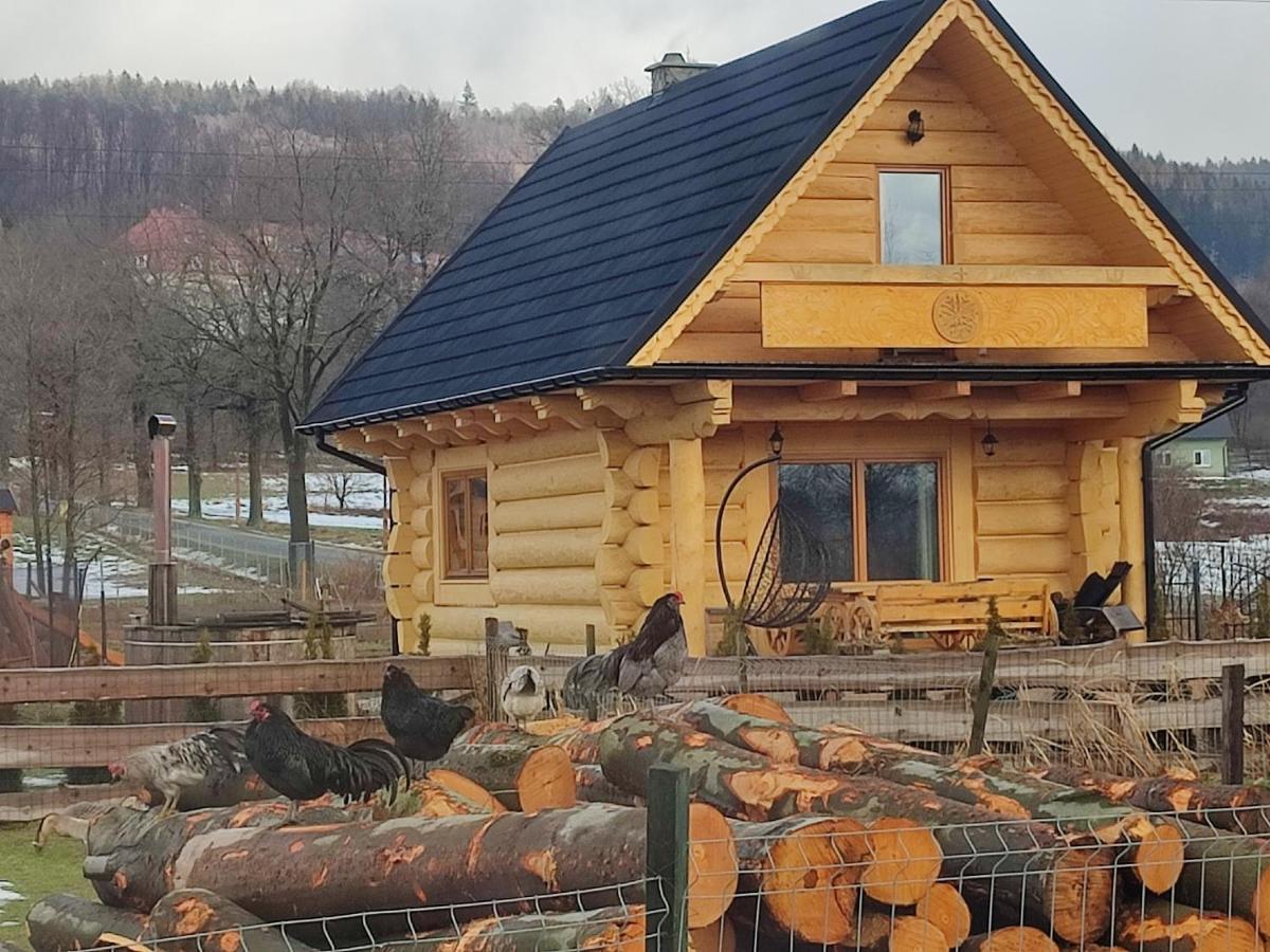 Sudecki Dym Z Kominkiem Kolo Karpacza. Agroturystyka Janowice Wielkie Exterior foto