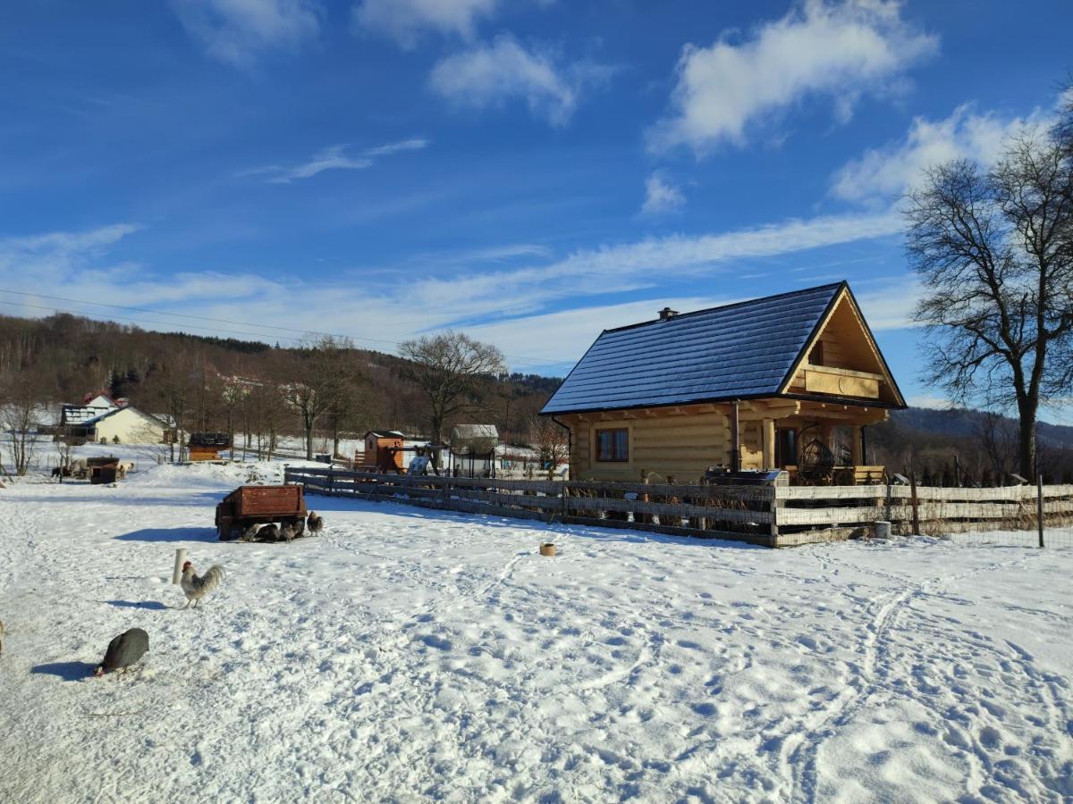 Sudecki Dym Z Kominkiem Kolo Karpacza. Agroturystyka Janowice Wielkie Exterior foto