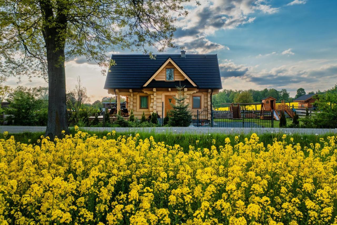 Sudecki Dym Z Kominkiem Kolo Karpacza. Agroturystyka Janowice Wielkie Exterior foto