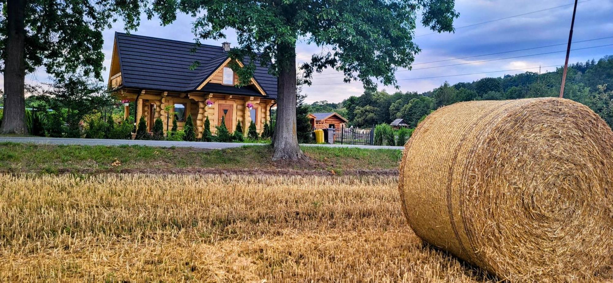 Sudecki Dym Z Kominkiem Kolo Karpacza. Agroturystyka Janowice Wielkie Exterior foto